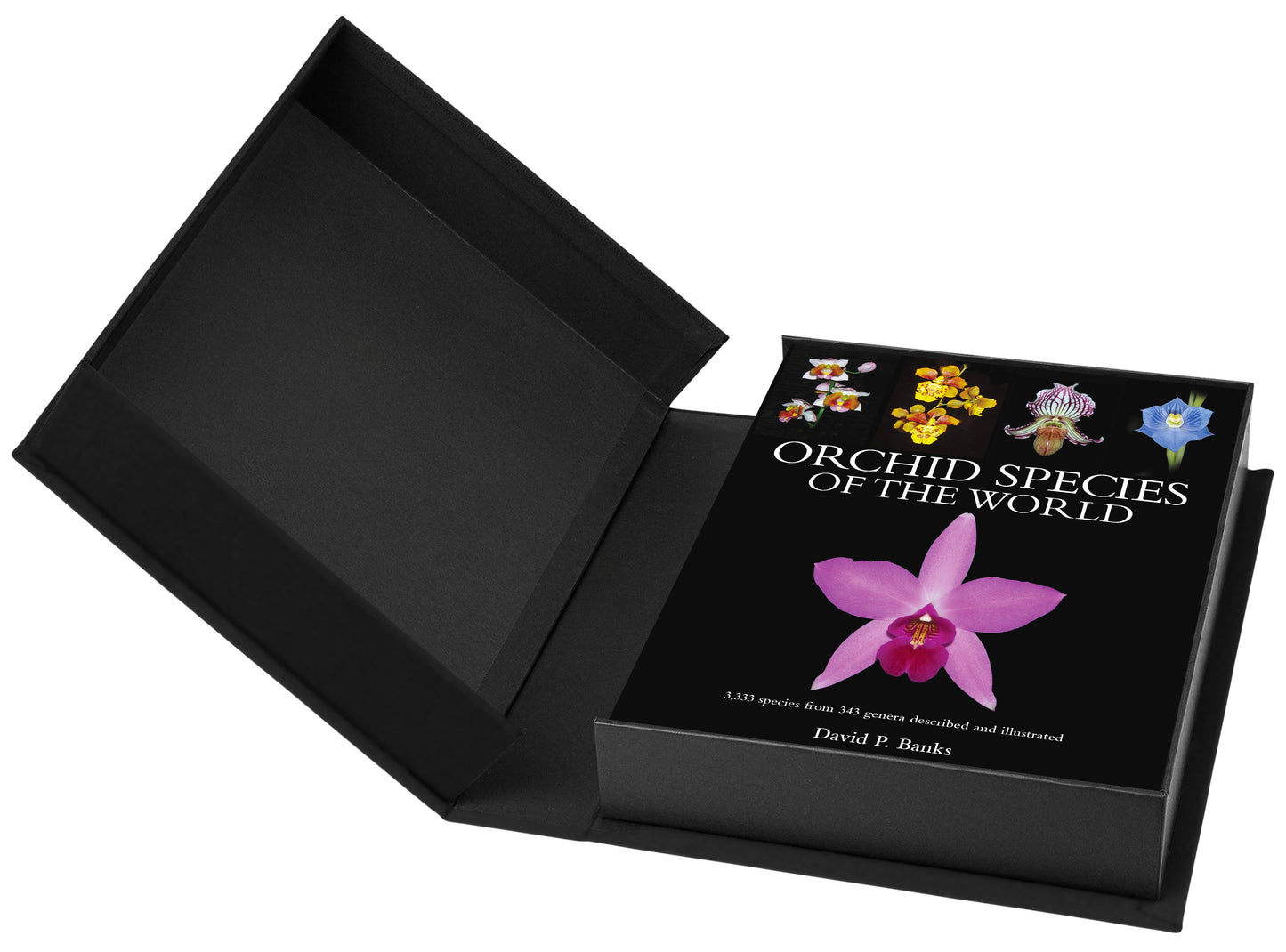 Orchid Species of the World - Limited edition pre-order - September delivery