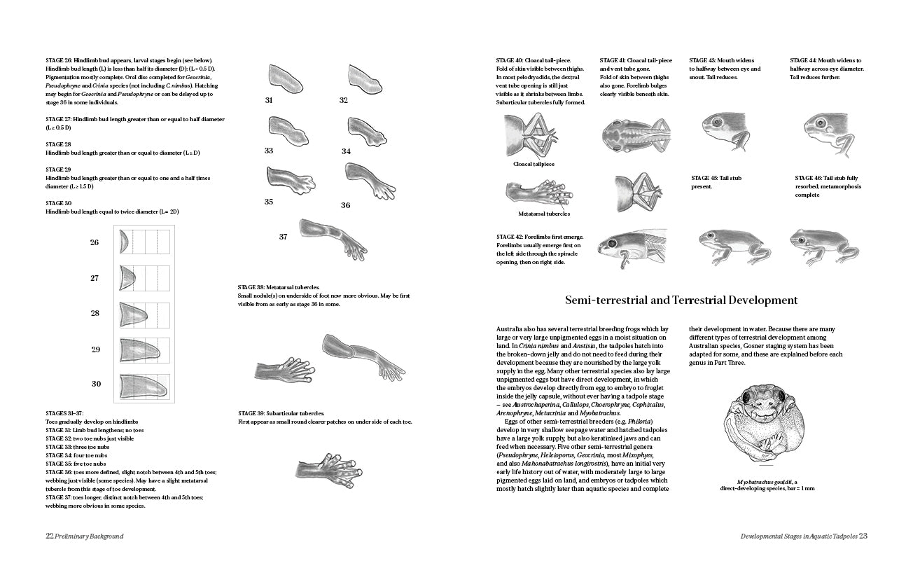 Tadpoles and Frogs of Australia - 3rd edition