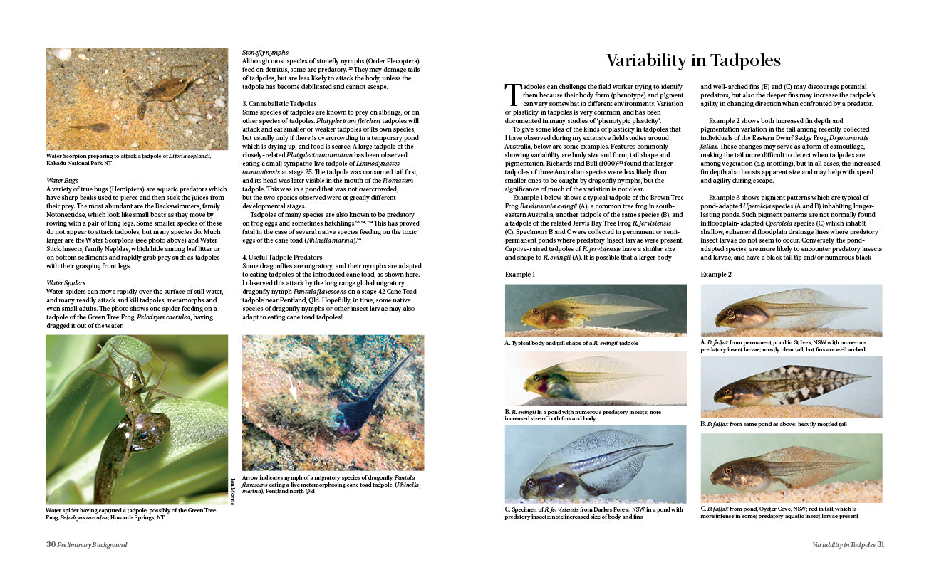 Tadpoles and Frogs of Australia - 3rd edition
